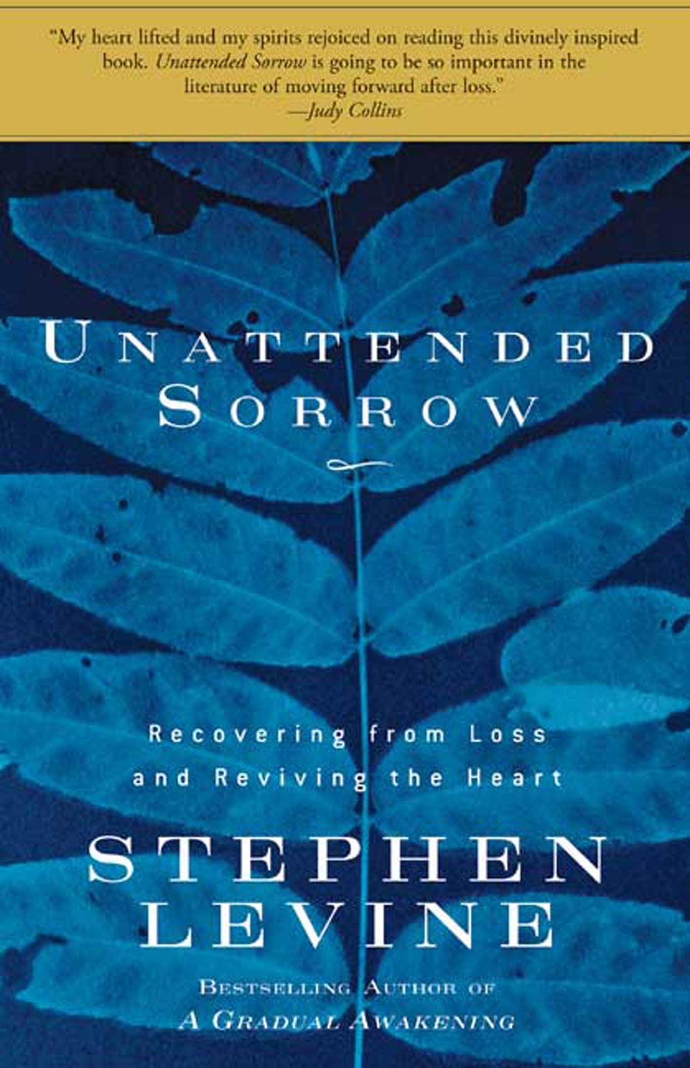 Unattended Sorrow: Recovering from Loss and Reviving the Heart - 8387