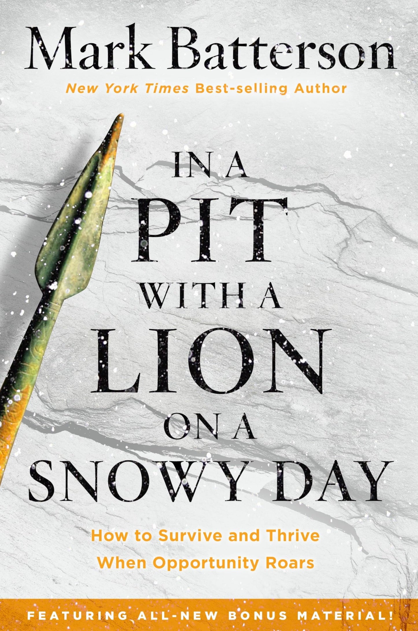 In a Pit with a Lion on a Snowy Day: How to Survive and Thrive When Opportunity Roars - 6576