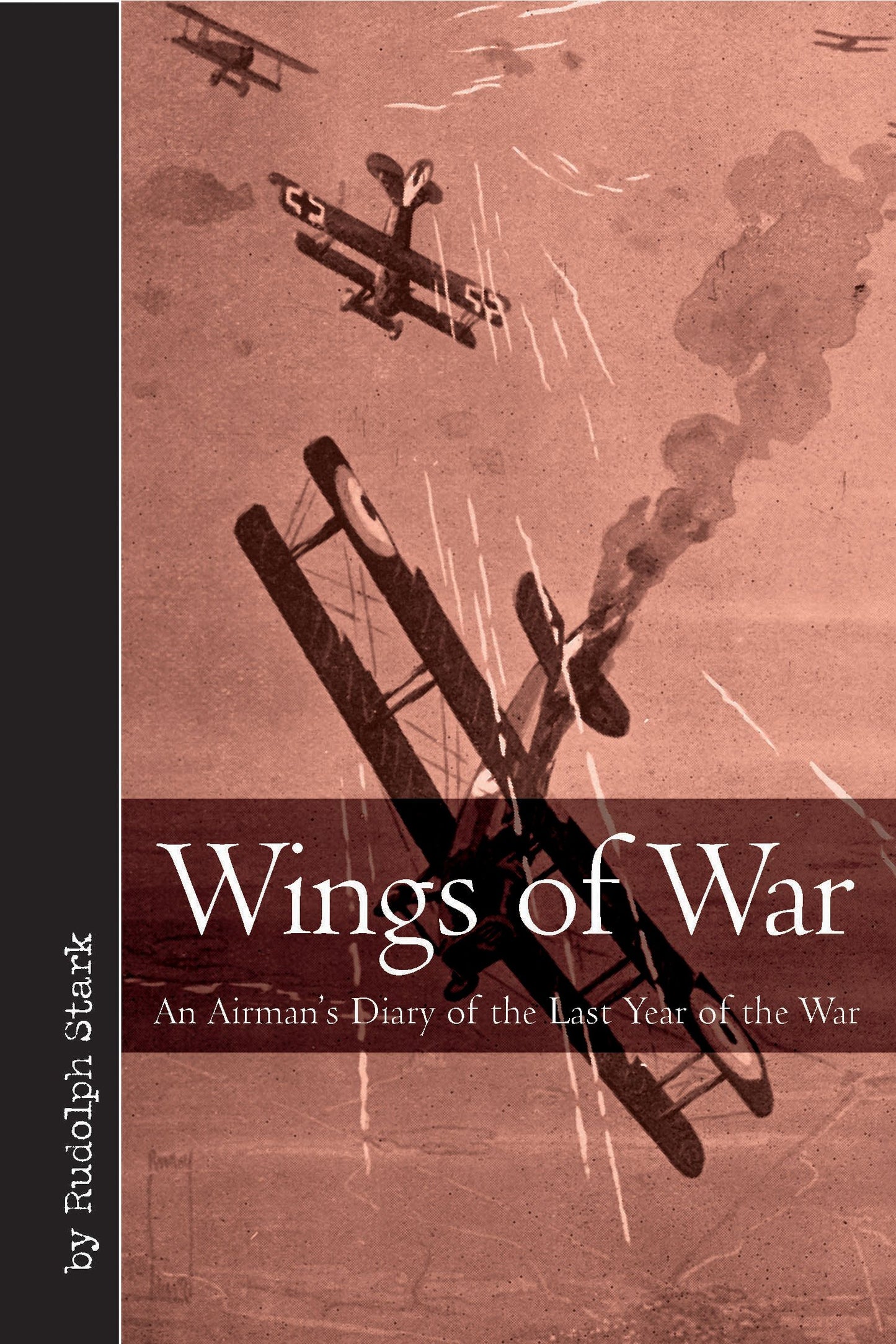 Wings of War: An Airman's Diary of the Last Year of the War (Vintage Aviation Series) - 7415