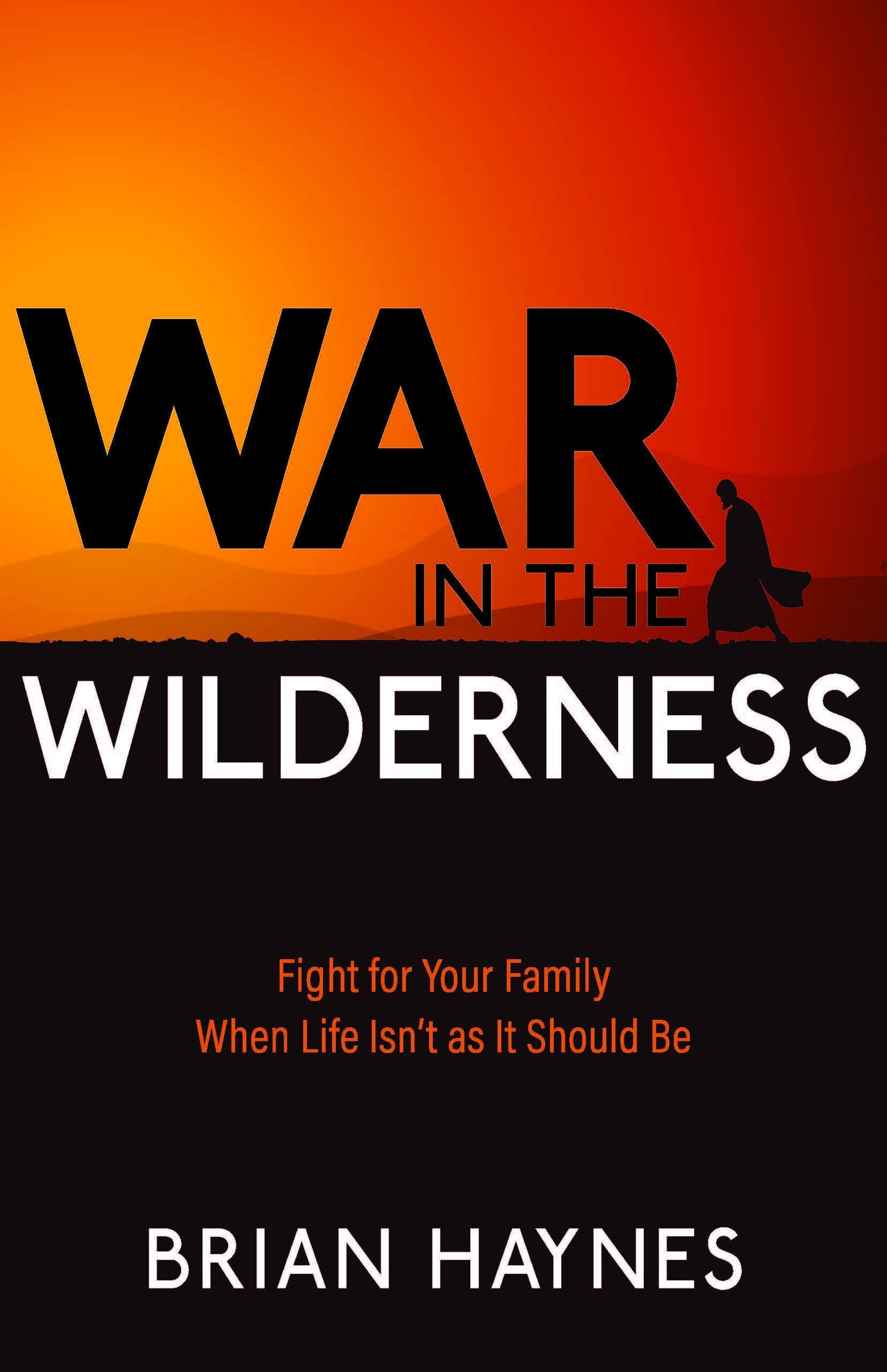 War in the Wilderness: Fight for Your Family When Life Isn't as It Should Be