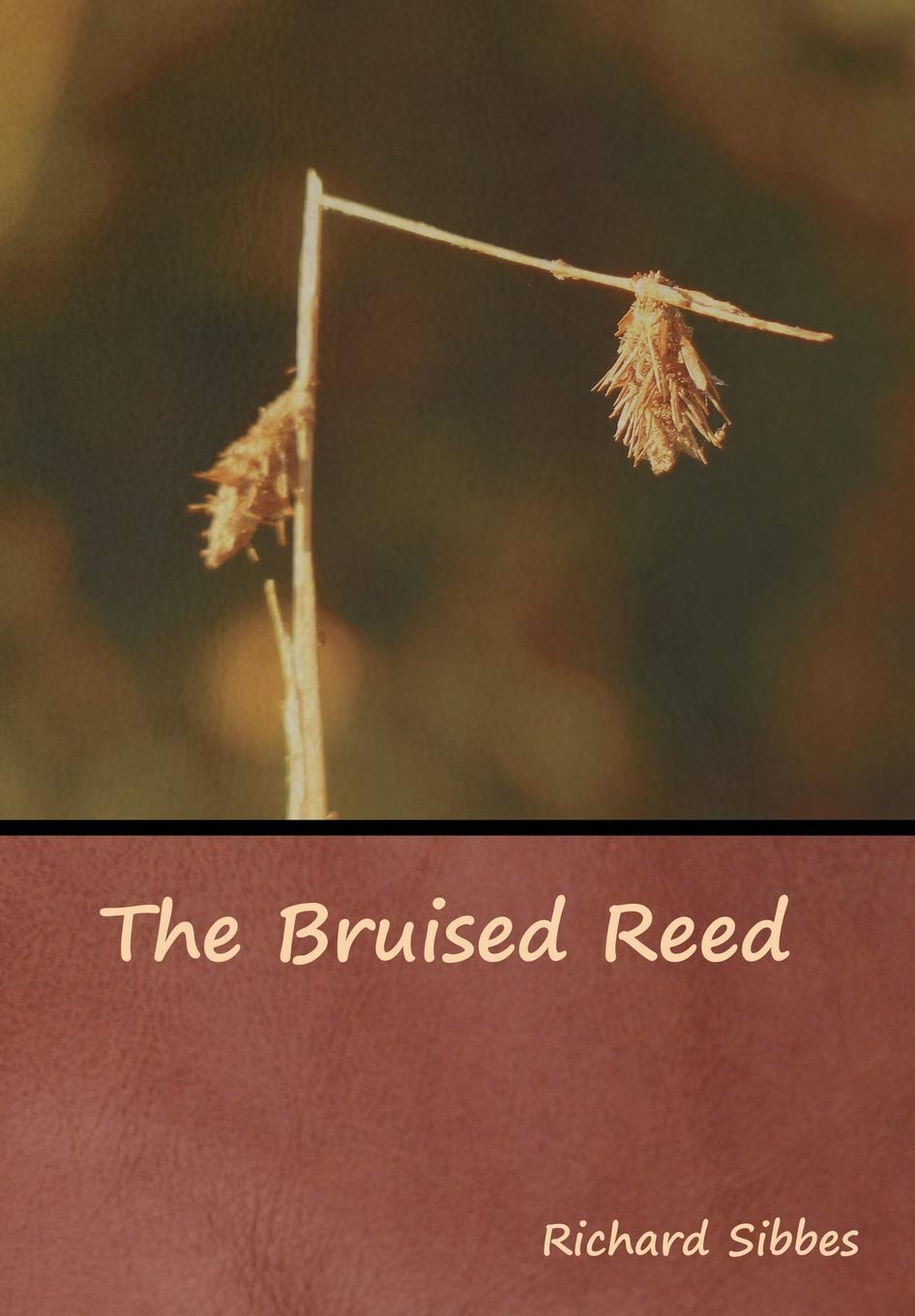 The Bruised Reed - 4397