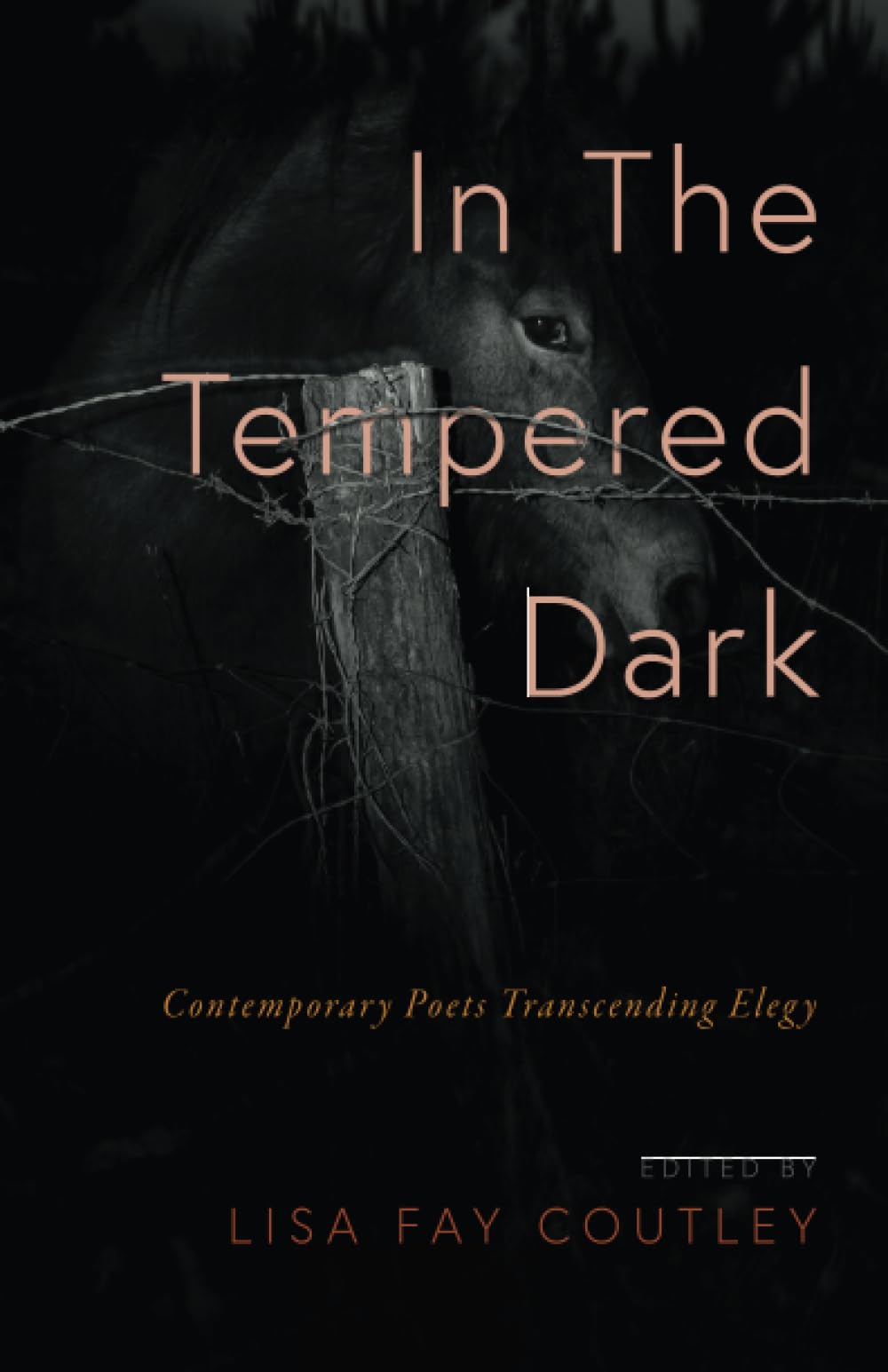 In the Tempered Dark - 8795