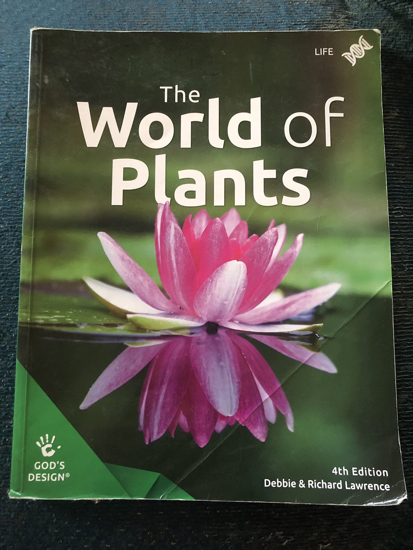 The World of Plants