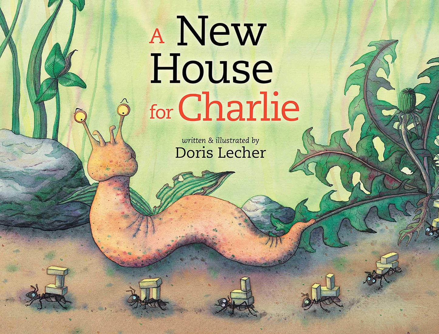 A New House for Charlie - 8606