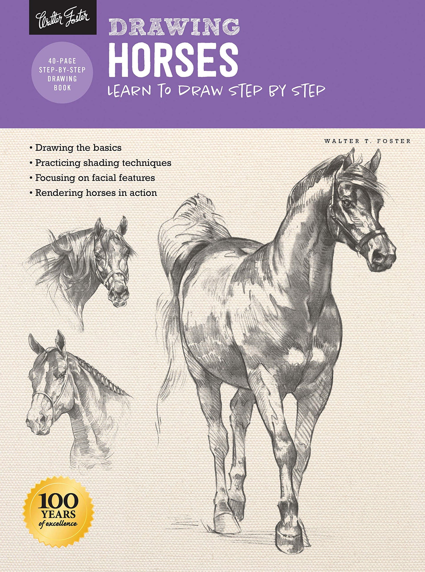 Drawing: Horses: Learn to draw step by step (How to Draw & Paint) - 5068