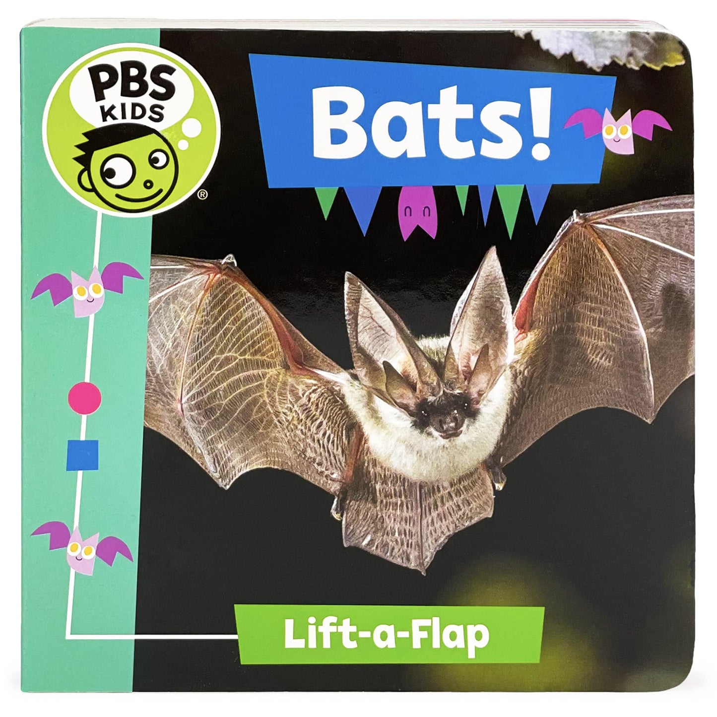 PBS KIds Bats! Children's Lift-a-Flap Board Book
