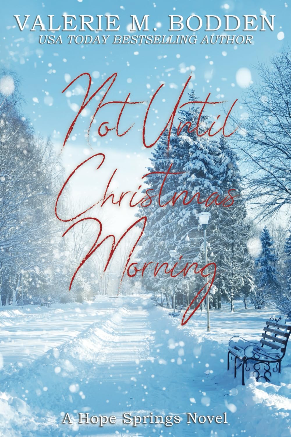 Not Until Christmas Morning: A Christian Romance (Hope Springs) - 4379