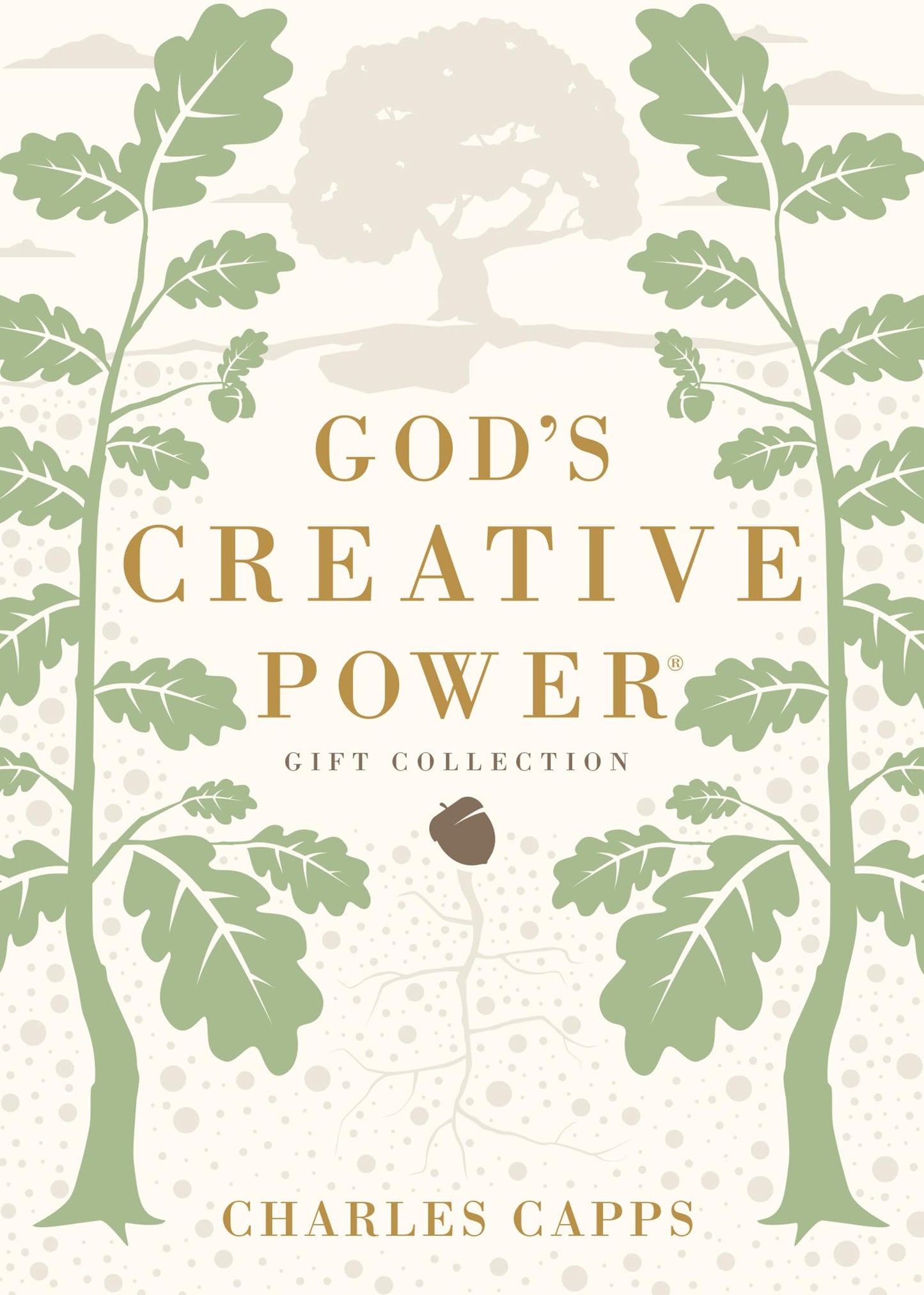 God's Creative Power Gift Collection: Victorious Living Through Speaking God’s Promises - 3381