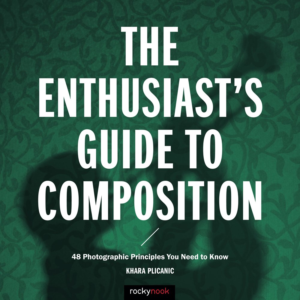 The Enthusiast's Guide to Composition: 48 Photographic Principles You Need to Know - 8722