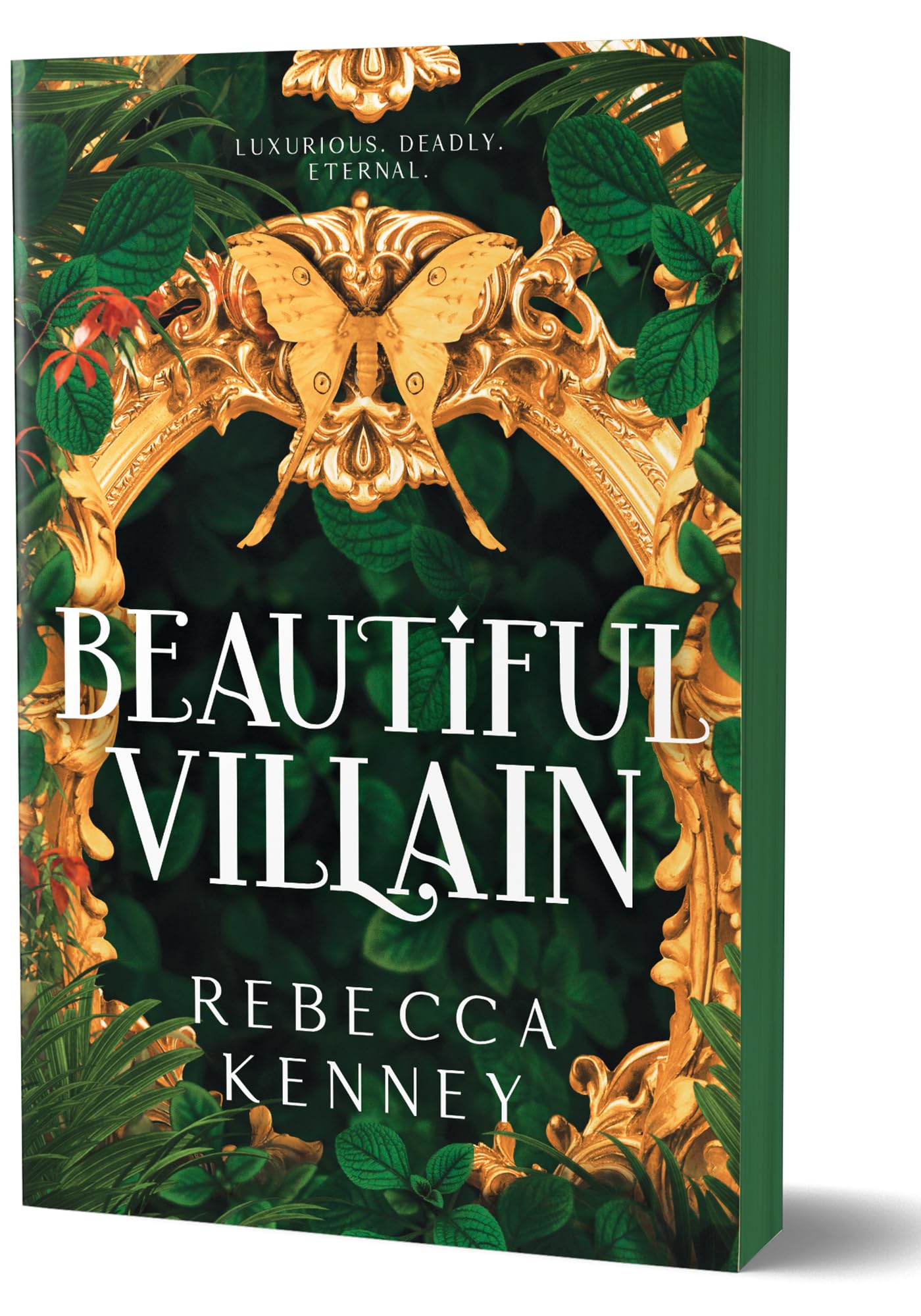 Beautiful Villain: A Dark & Spicy Modern Jay Gatsby (Gilded Monsters, 1)