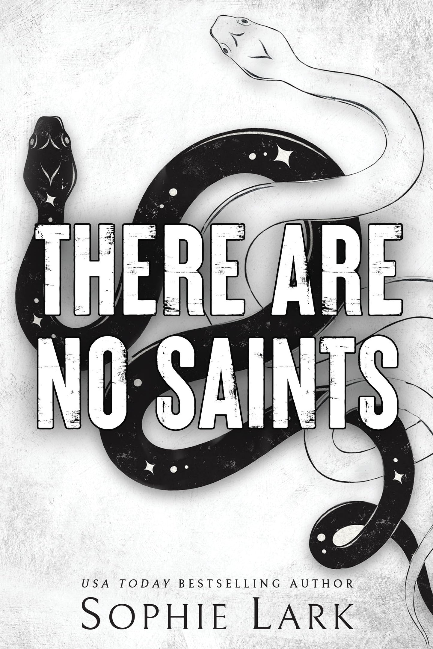 There Are No Saints (Sinners Duet, 1) - 8065