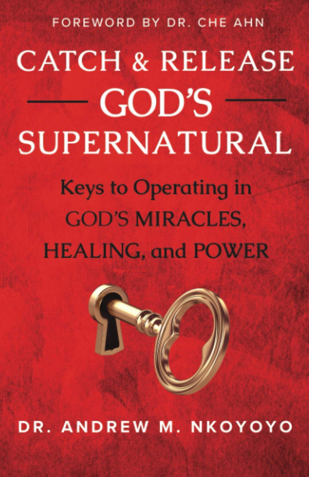 Catch and Release God's Supernatural: Keys to Operating in God’s Miracles, Healing, and Power