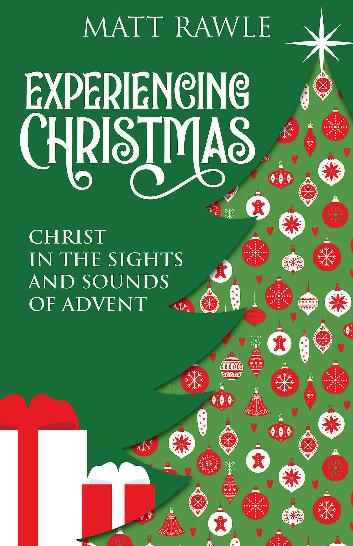 Experiencing Christmas - 6673