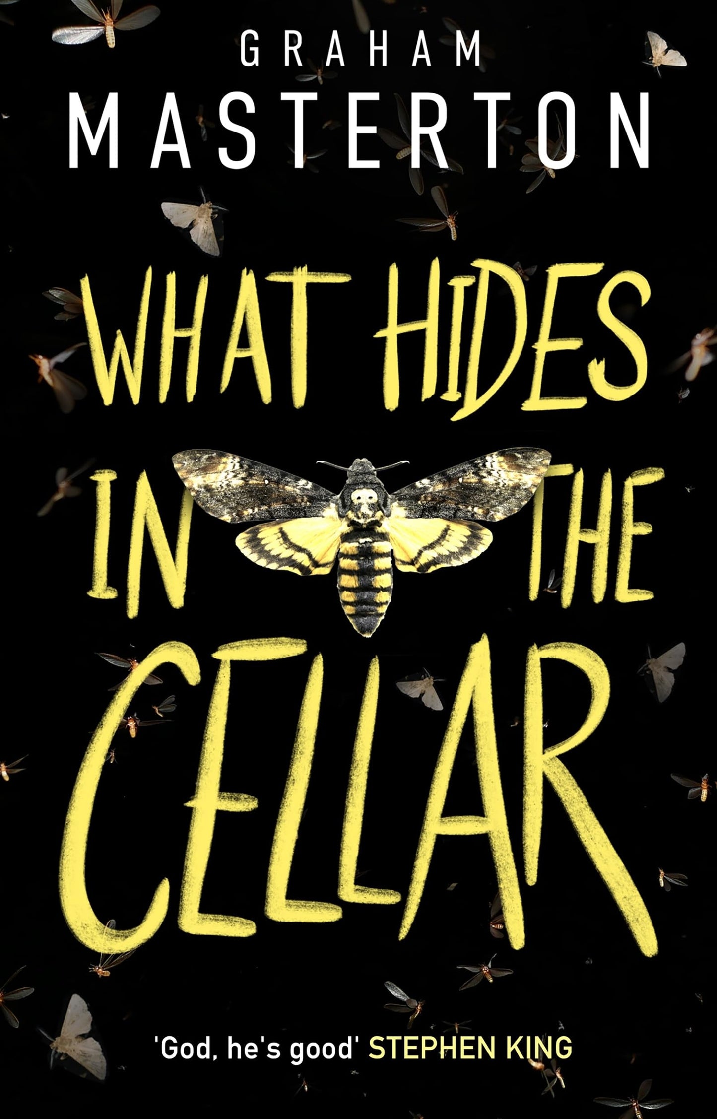 What Hides in the Cellar (Patel & Pardoe, 4) - 9538