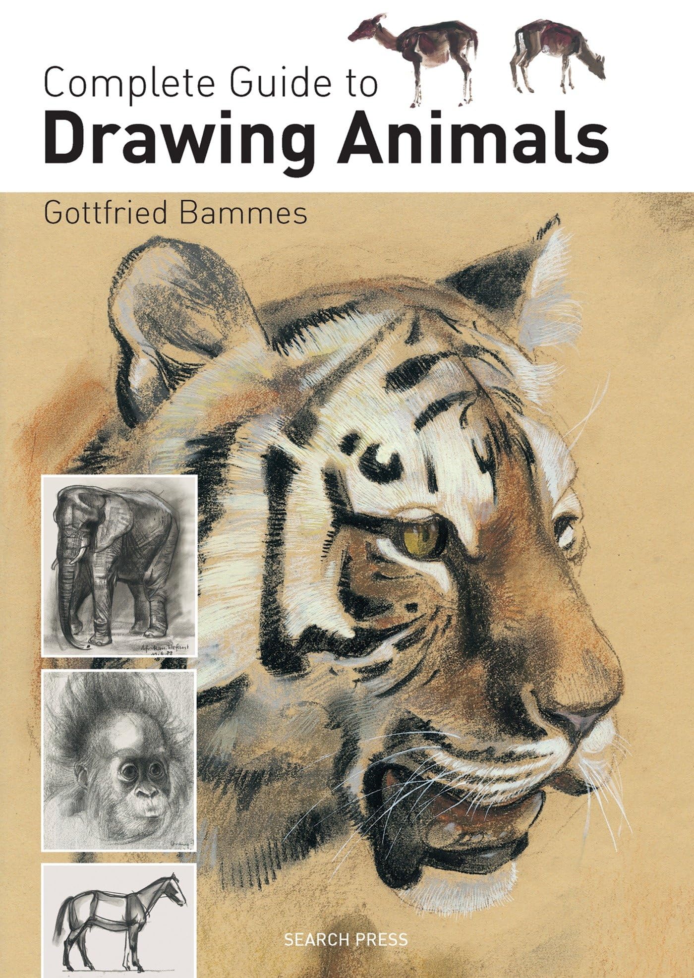 Complete Guide to Drawing Animals - 5562