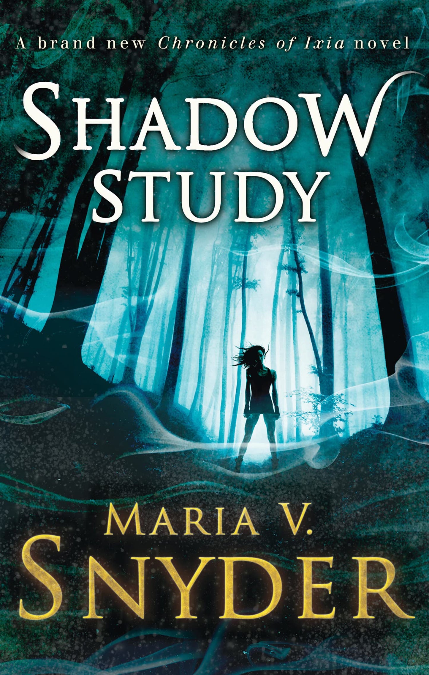 SHADOW STUDY