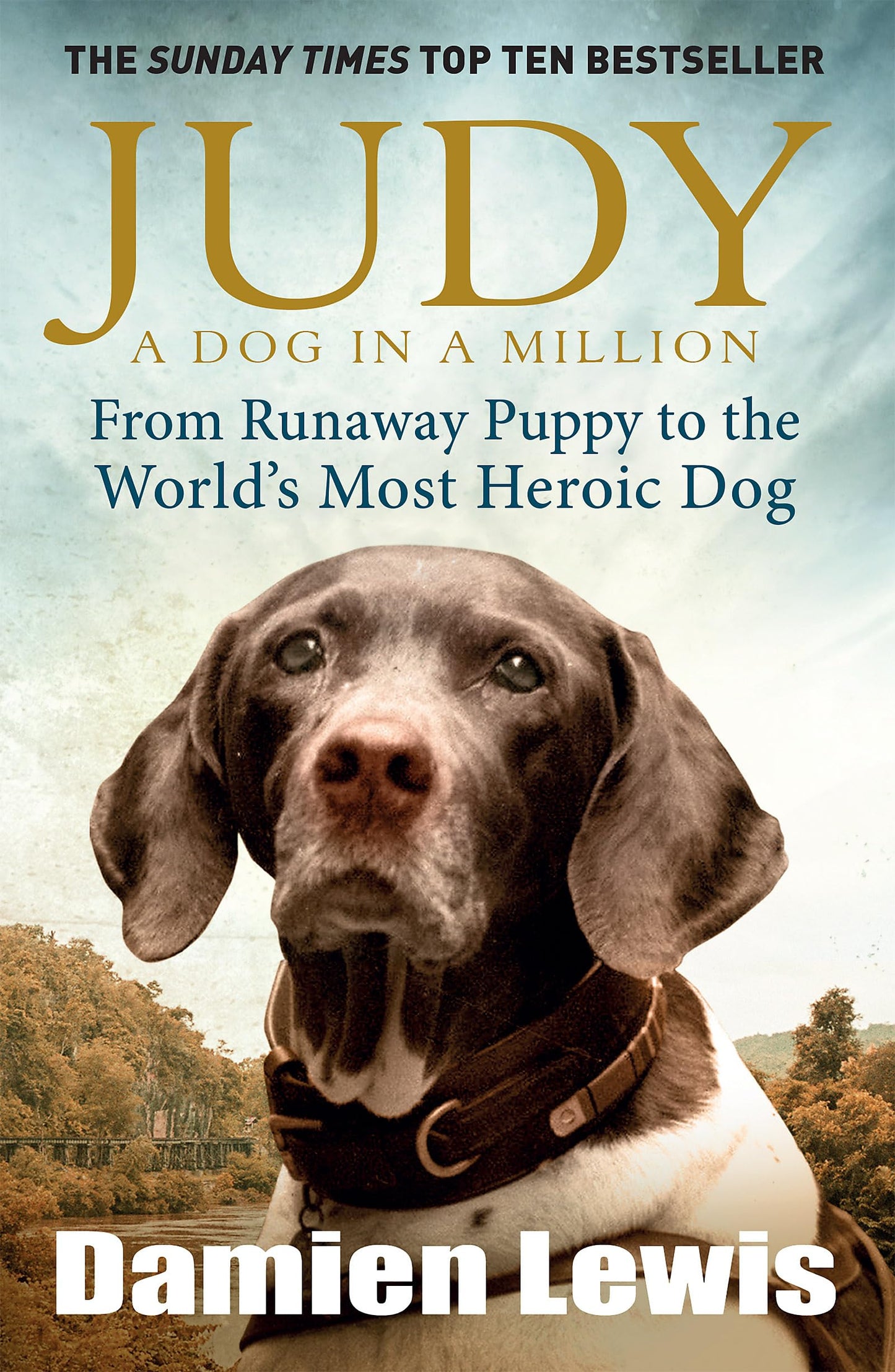 Judy: The Unforgettable Story of the Dog Who Went to War and Became a True Hero - 4959