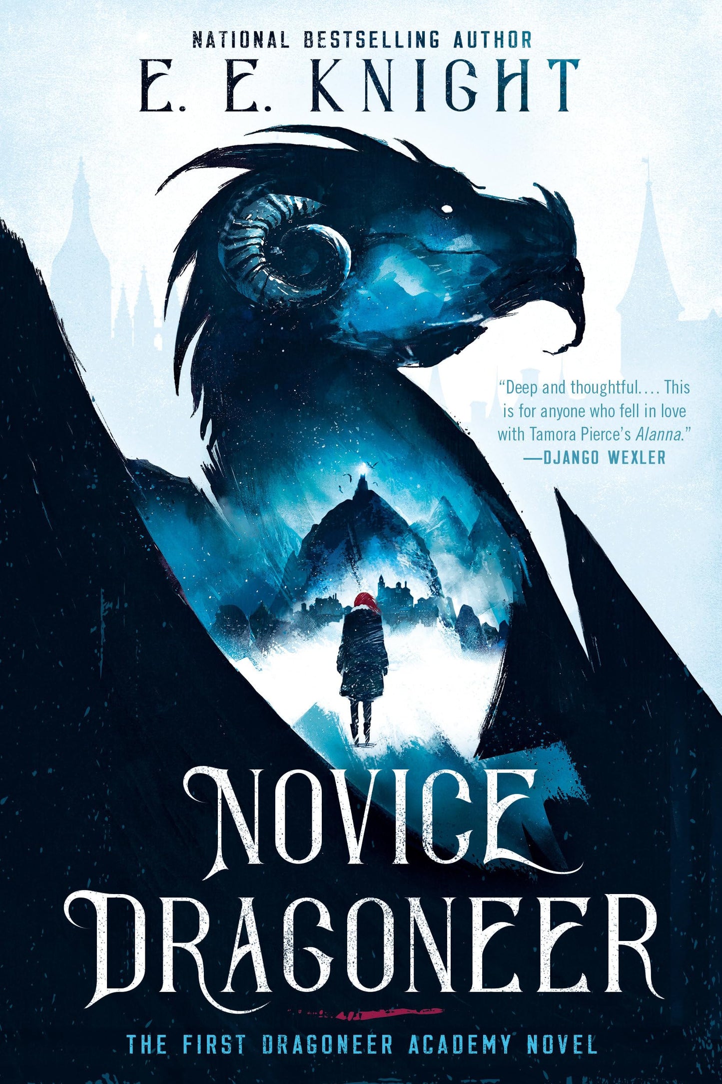 Novice Dragoneer (A Dragoneer Academy Novel) - 3492