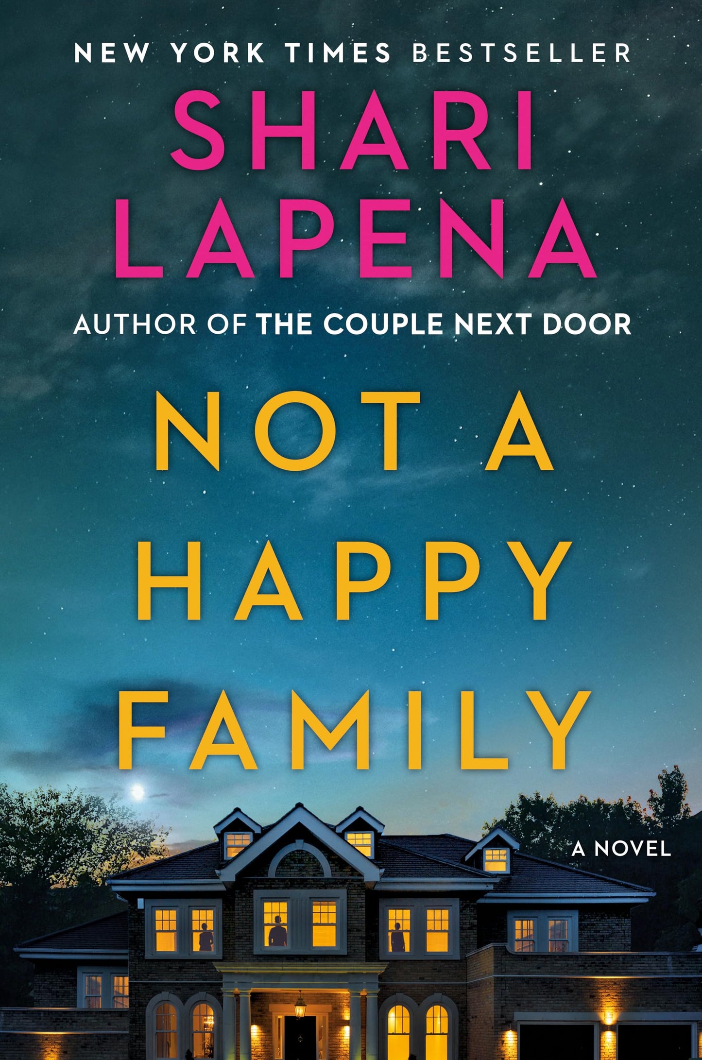 Not a Happy Family: A Novel