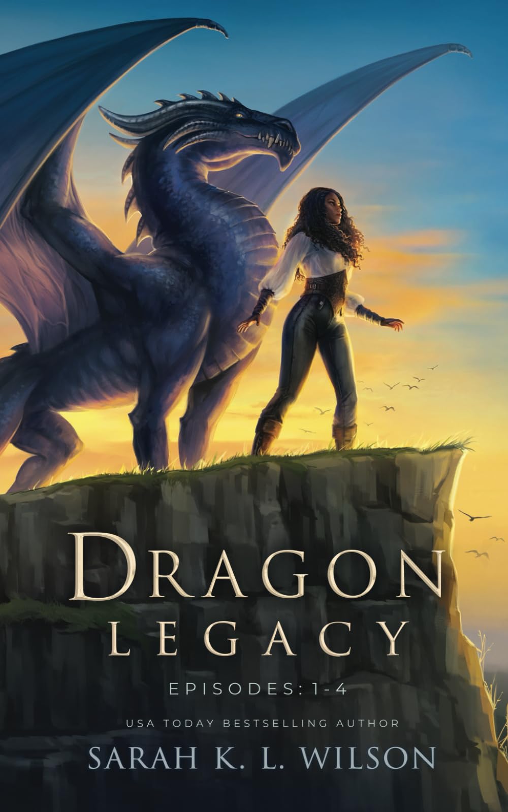 Dragon Legacy: Episodes 1-4 (Dragon Legacy Omnibuses)