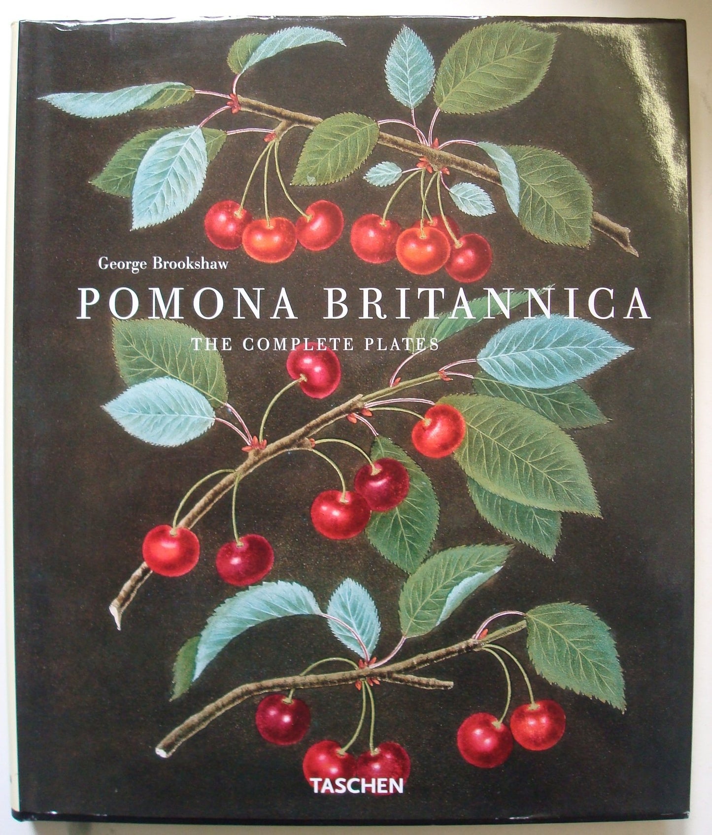 Pomona Britannica - 3055