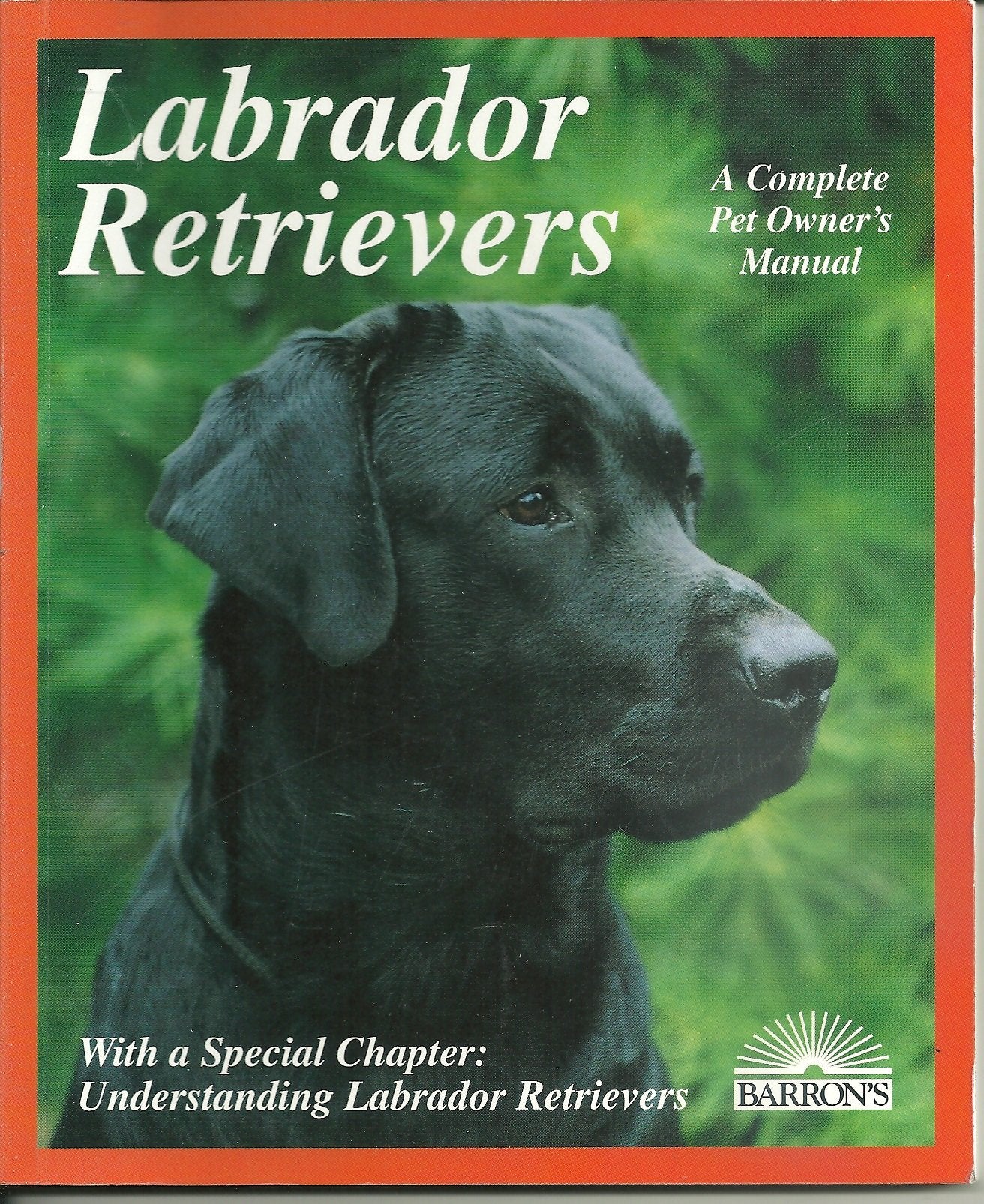 D LABRADOR RETRIEVERS