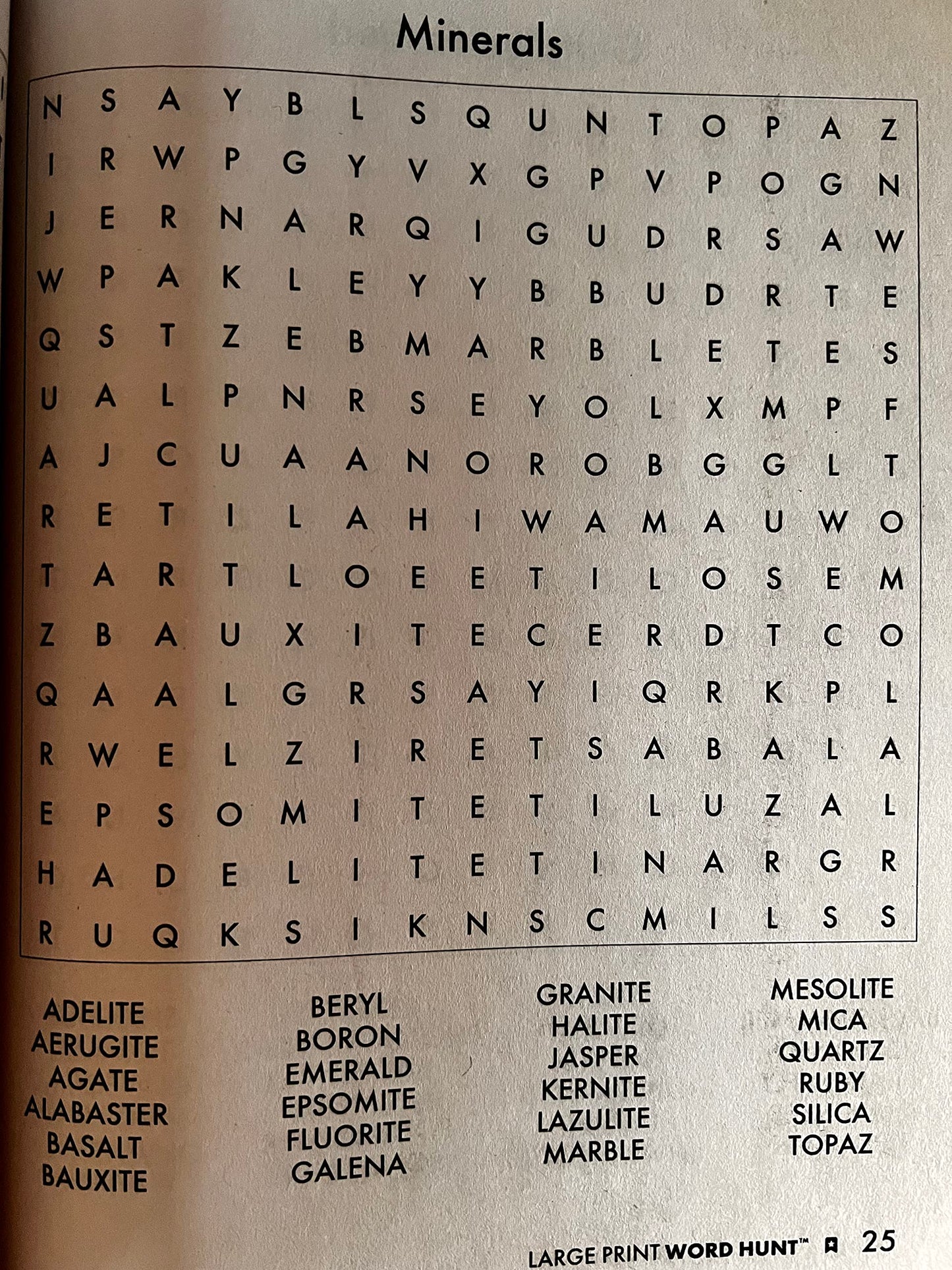 PAPP Large Print Word Hunt (Assorted, Volume Numbers & Quantities Vary) All New Puzzles - 7449
