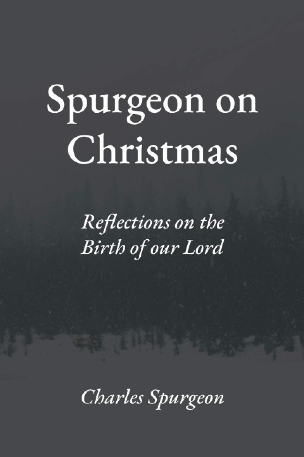 Spurgeon on Christmas: Reflections on the Birth of our Lord - 313