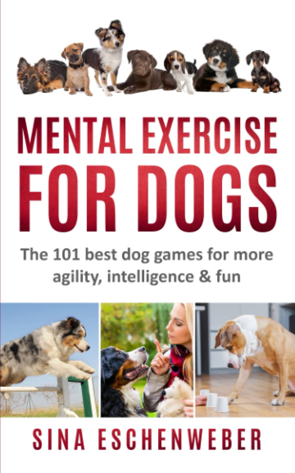 MENTAL EXERCISE FOR DOGS: The 101 best dog games for more agility,intelligence & fun - 1557