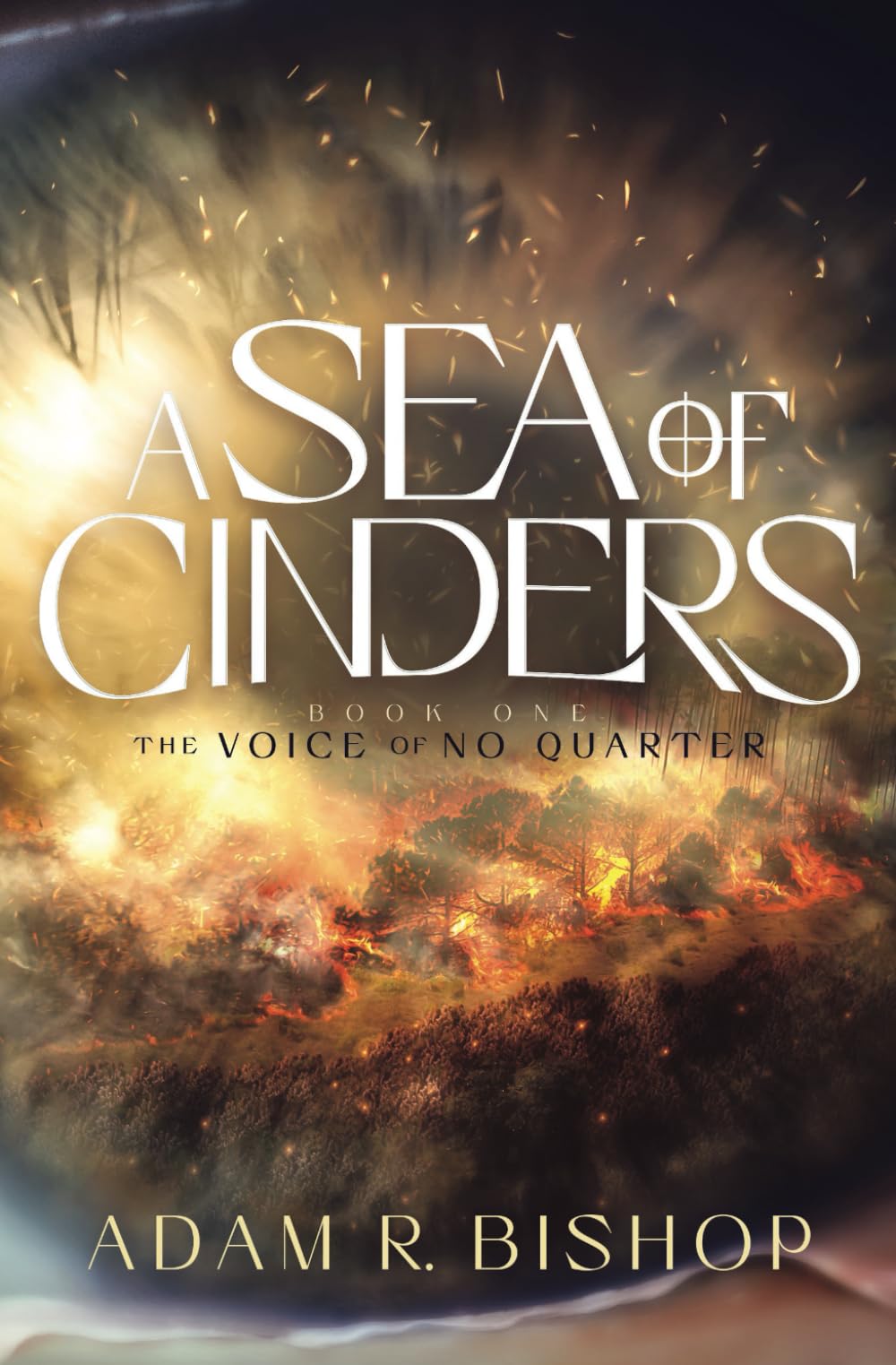 A Sea of Cinders (The Voice of No Quarter)