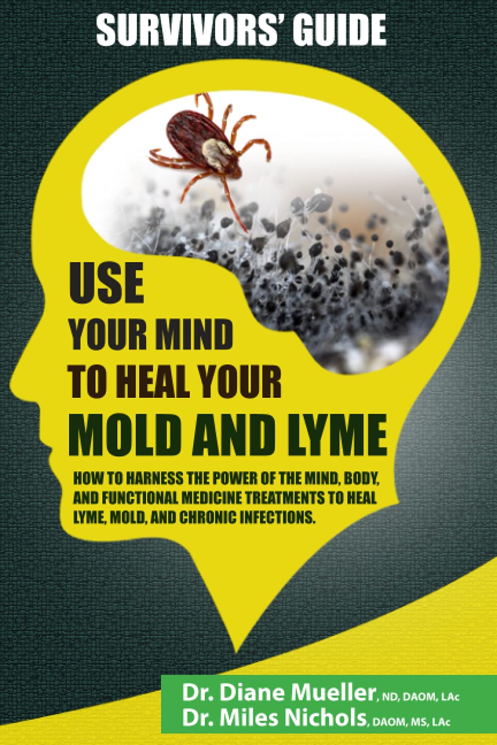 Use Your Mind to Heal Your Mold and Lyme: A Survivor's Guide