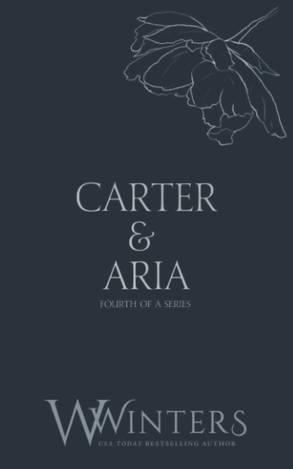 Carter & Aria: Endless (Discreet Series)