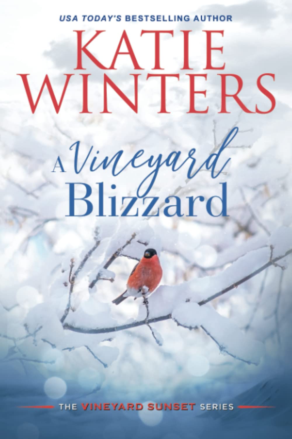 A Vineyard Blizzard (The Vineyard Sunset Series) - 2408