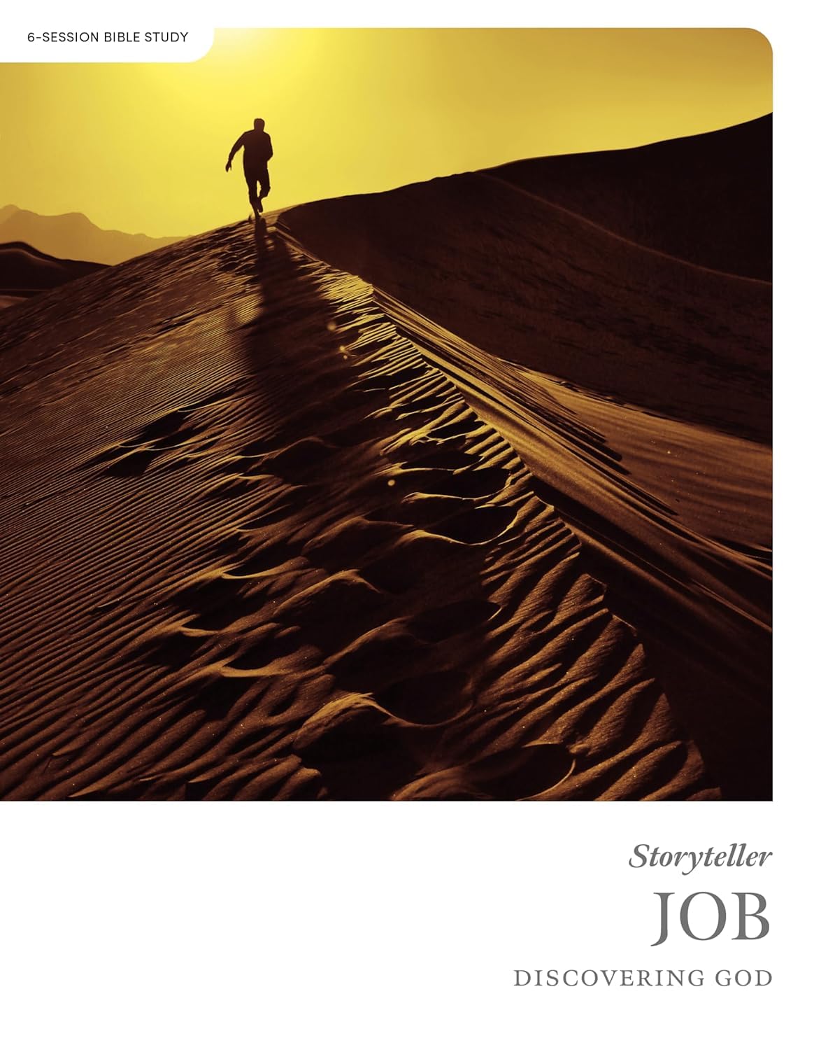 Job – Bible Study for Women, Men, Young Adults, College Students; 6-week daily devotional and Bible reading plan on suffering, hardship, and difficulty (Storyteller Series) - 6540