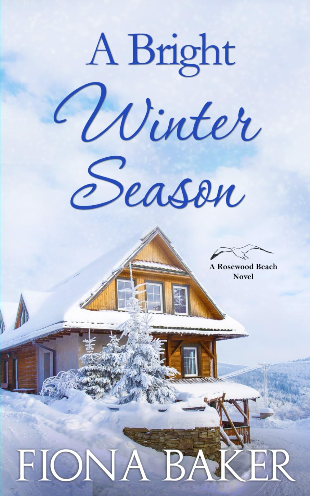A Bright Winter Season (Rosewood Beach) - 5178