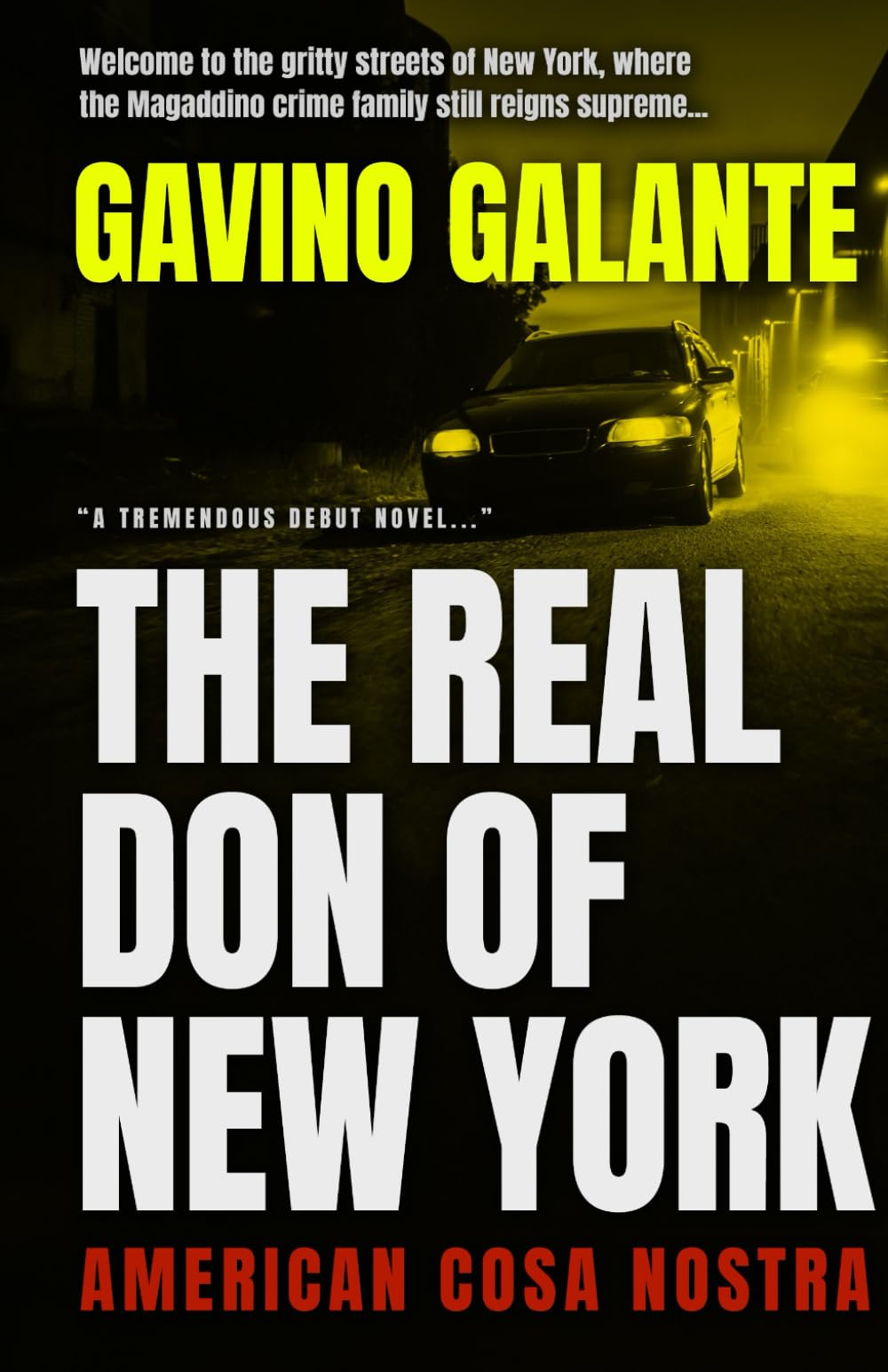 The Real Don of New York: An American Cosa Nostra Thriller "Best Crime Novel of 2025." (Magaddino Crime Family)
