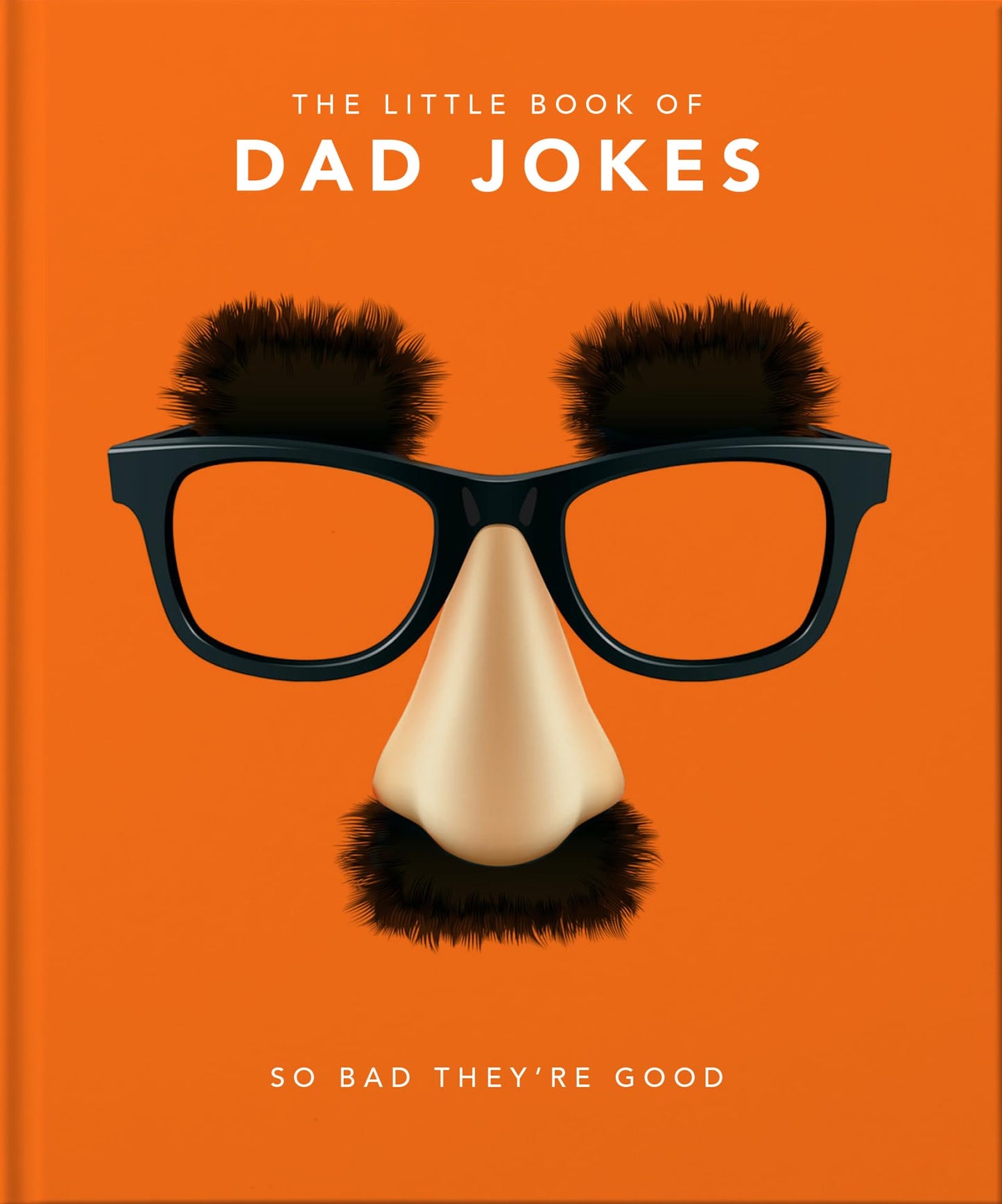 The Little Book of Dad Jokes: So Bad They're Good (The Little Books of Humor & Gift, 1) - 2192