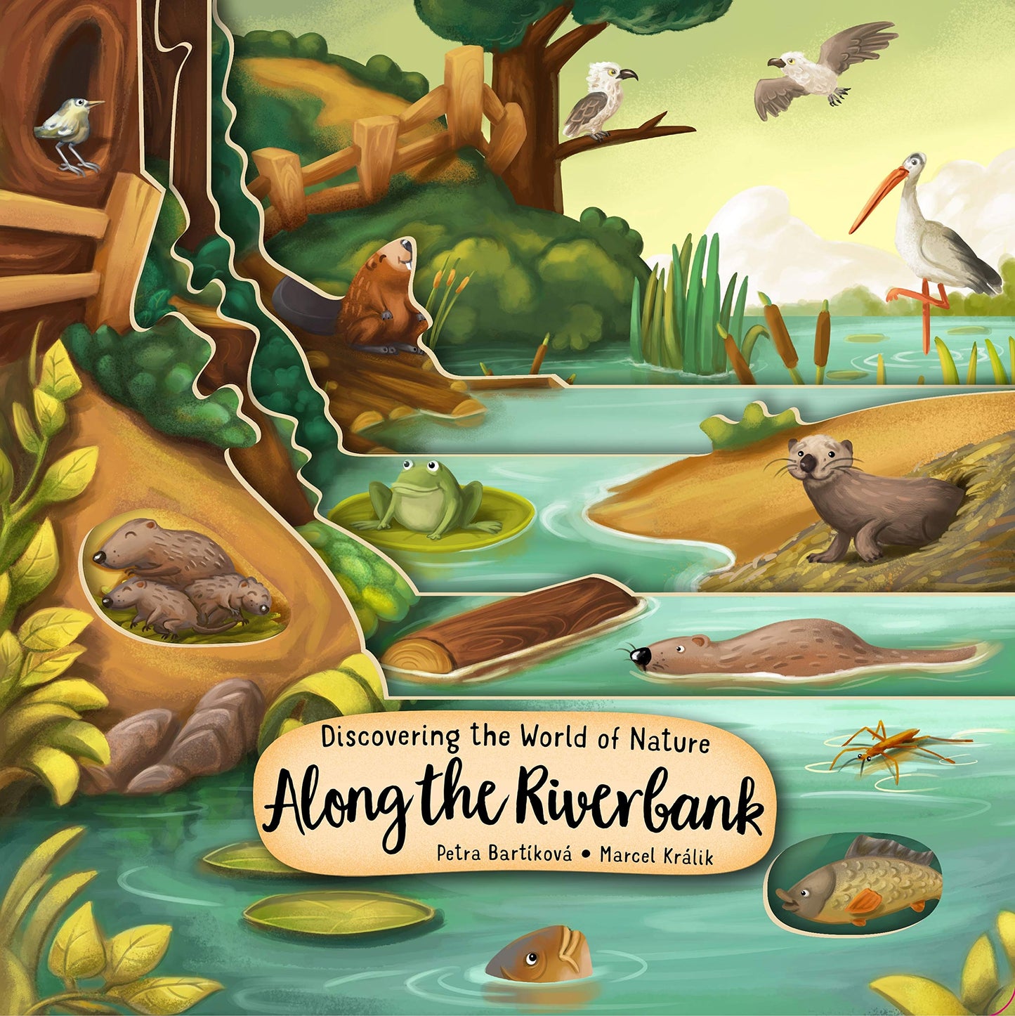Discovering the World of Nature Along the Riverbank (Happy Fox Books) Board Book for Kids Ages 3-6 to Learn About Animals Living In, Near, or Under Water, plus Fun and Educational Facts (Peek Inside) - 5581