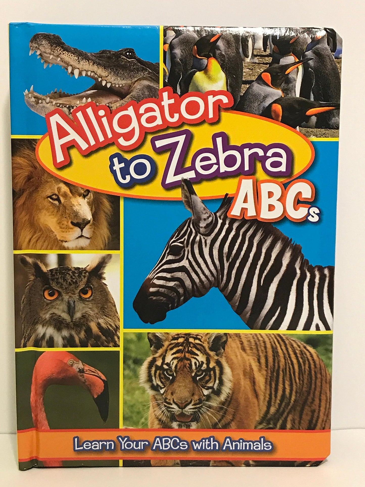 Flying Frog Alligator to Zebra Abc's Learning Your Abc's with Animals - 9868
