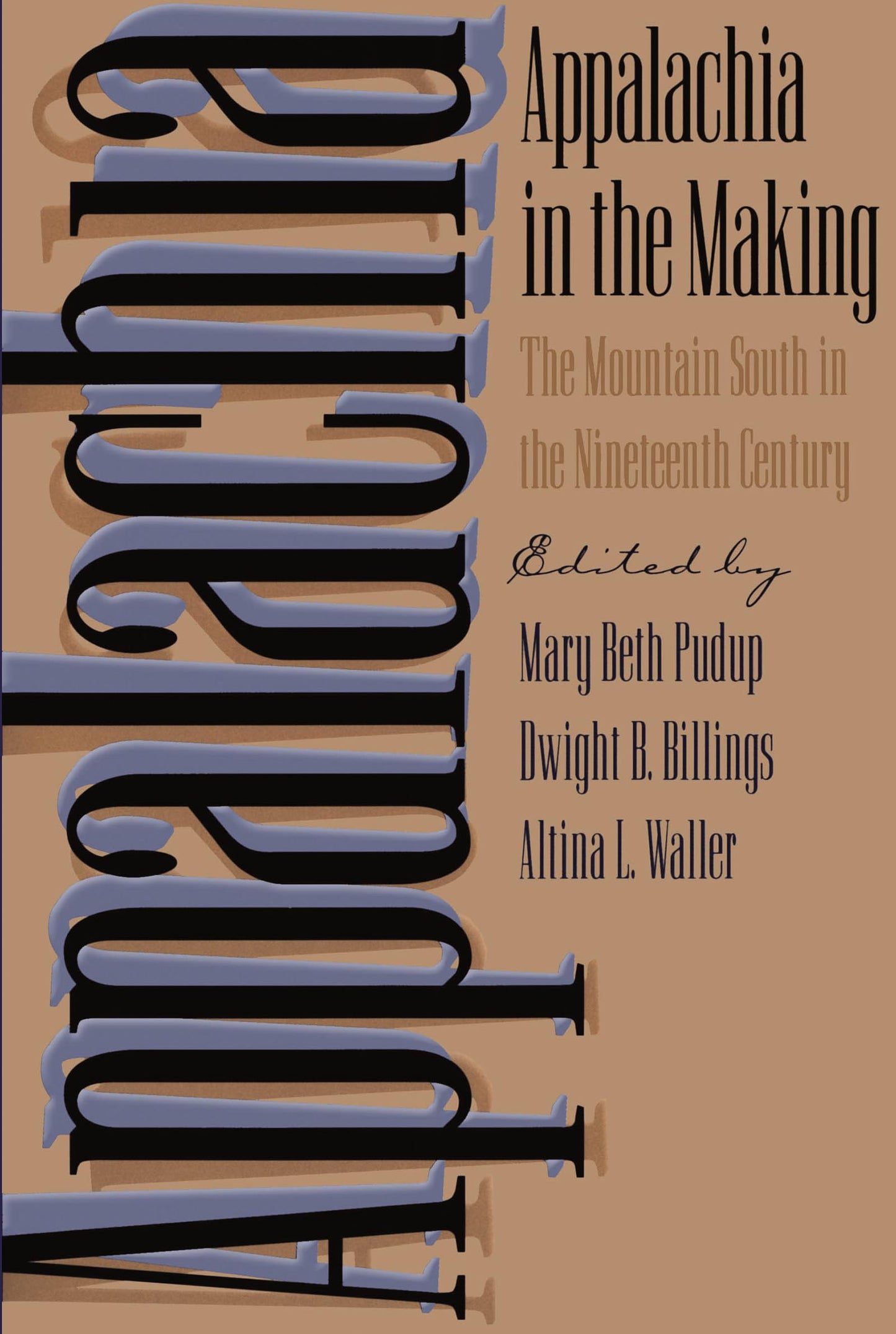 Appalachia in the Making: The Mountain South in the Nineteenth Century (Children of Poverty) - 2282