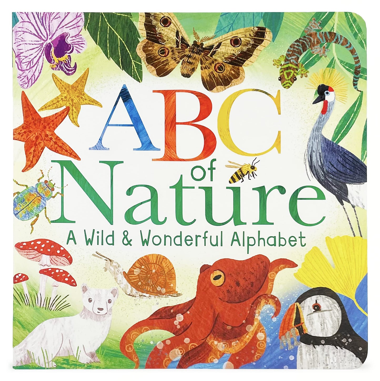 ABCs of Nature: A Wild & Wonderful Alphabet Experience - ABC Learning Book for Toddlers, Kindergartners, and Curious Minds with Fun Fact Bites, Ages 1-5 - 4811