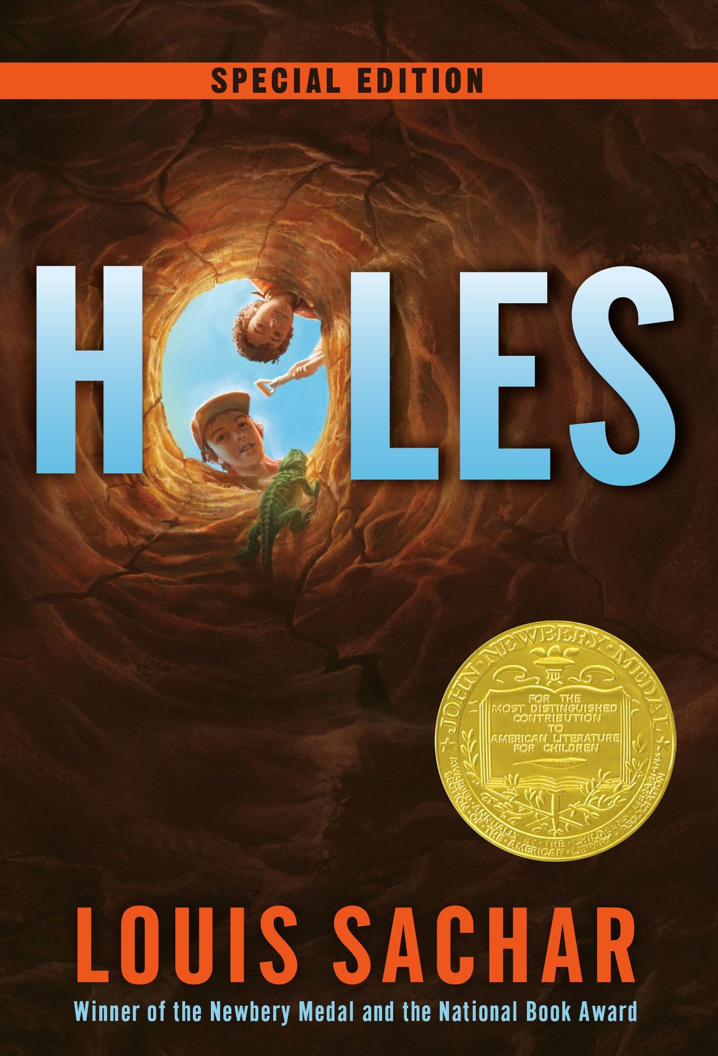 Holes (Holes Series) - 5976