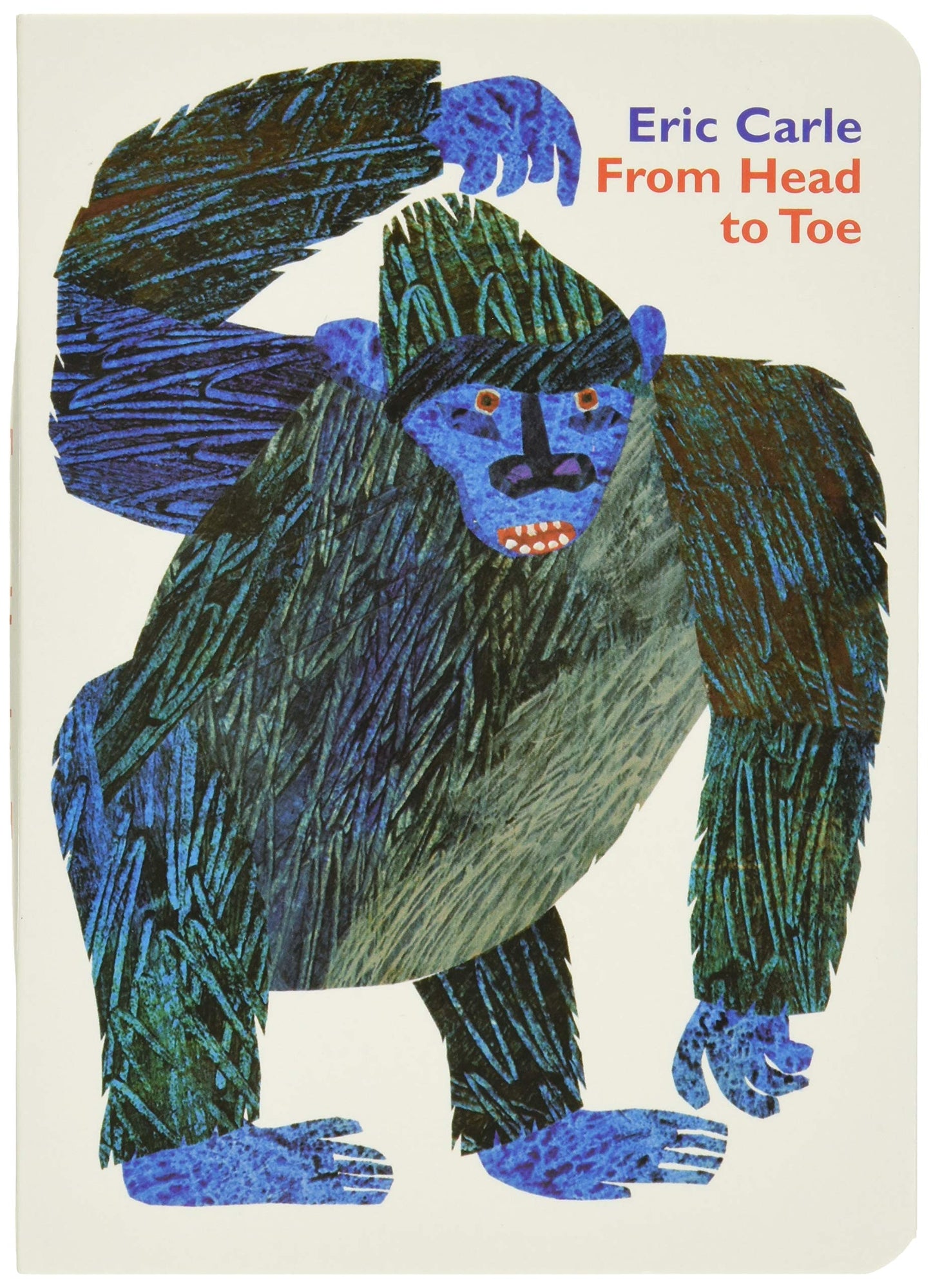 From Head to Toe Board Book - 121