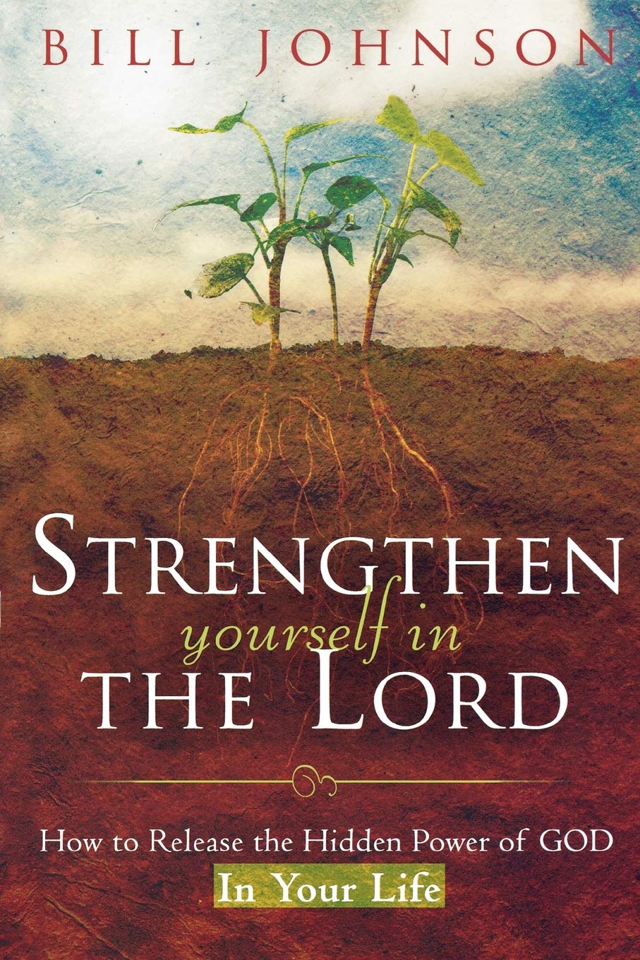 Strengthen Yourself in the Lord: How to Release the Hidden Power of God in Your Life - 8888