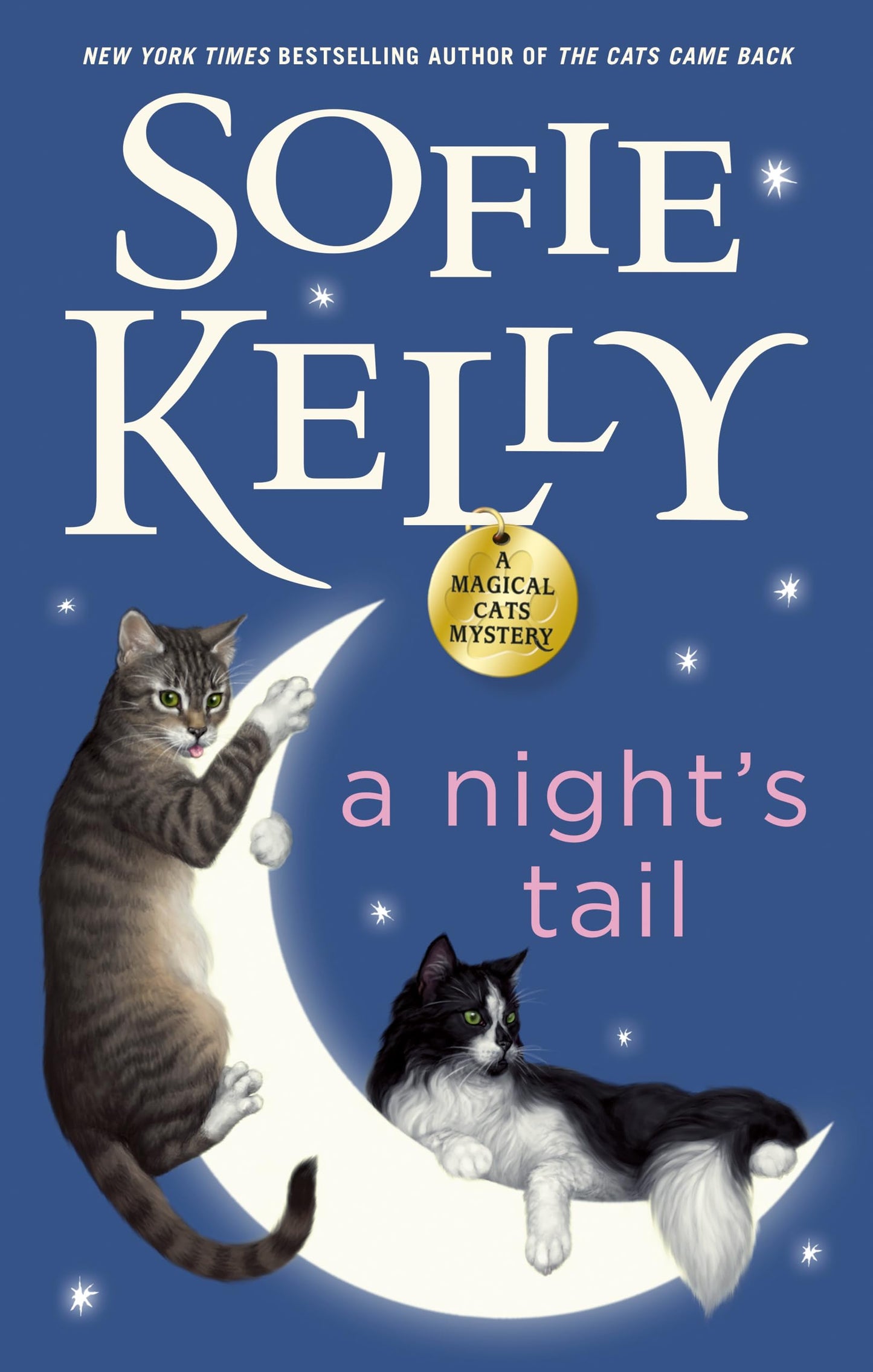 A Night's Tail (Magical Cats) - 9282