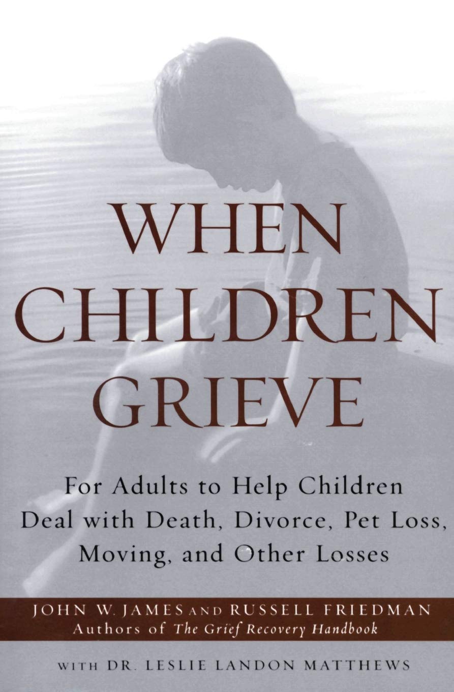 When Children Grieve: For Adults to Help Children Deal with Death, Divorce, Pet Loss, Moving, and Other Losses - 4062