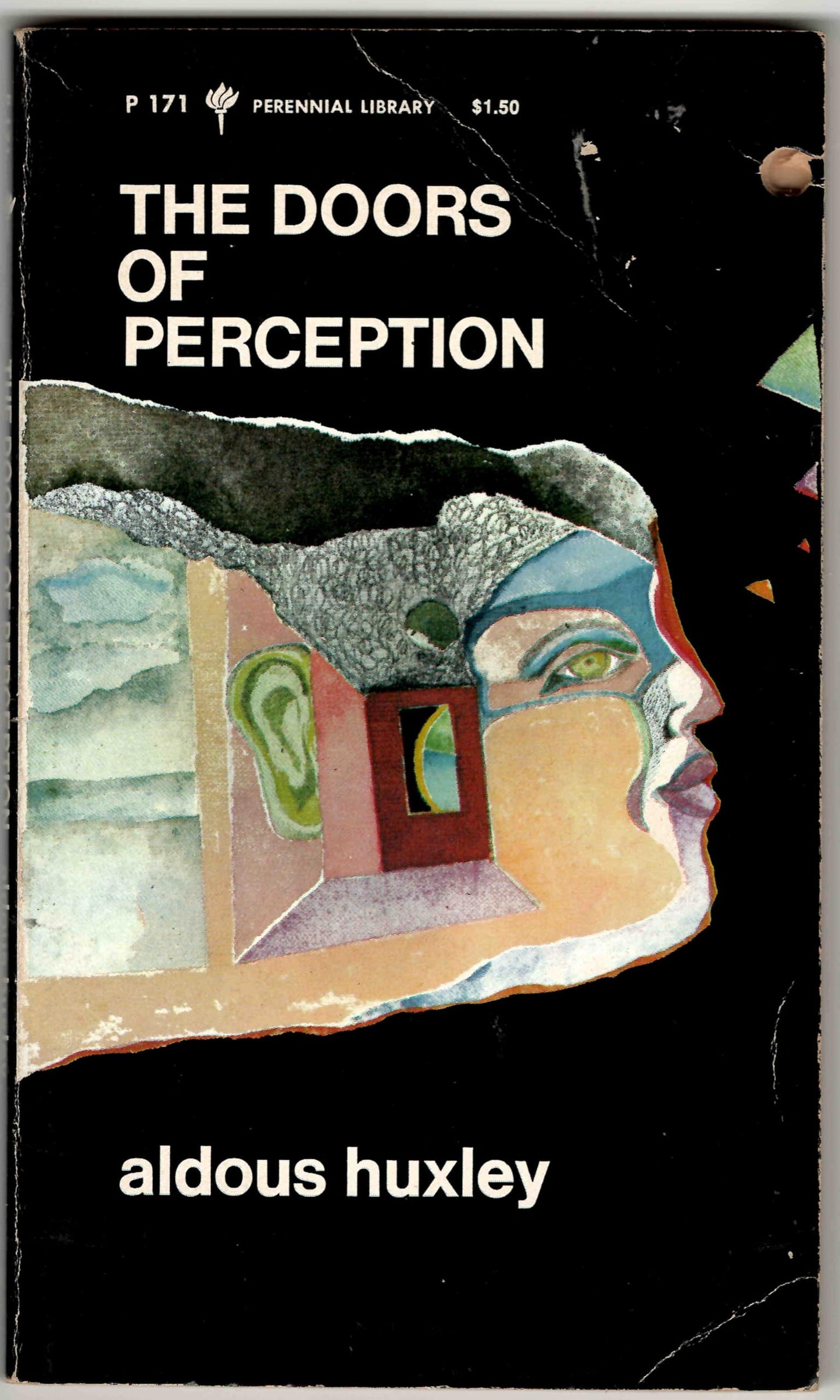 The Doors of Perception