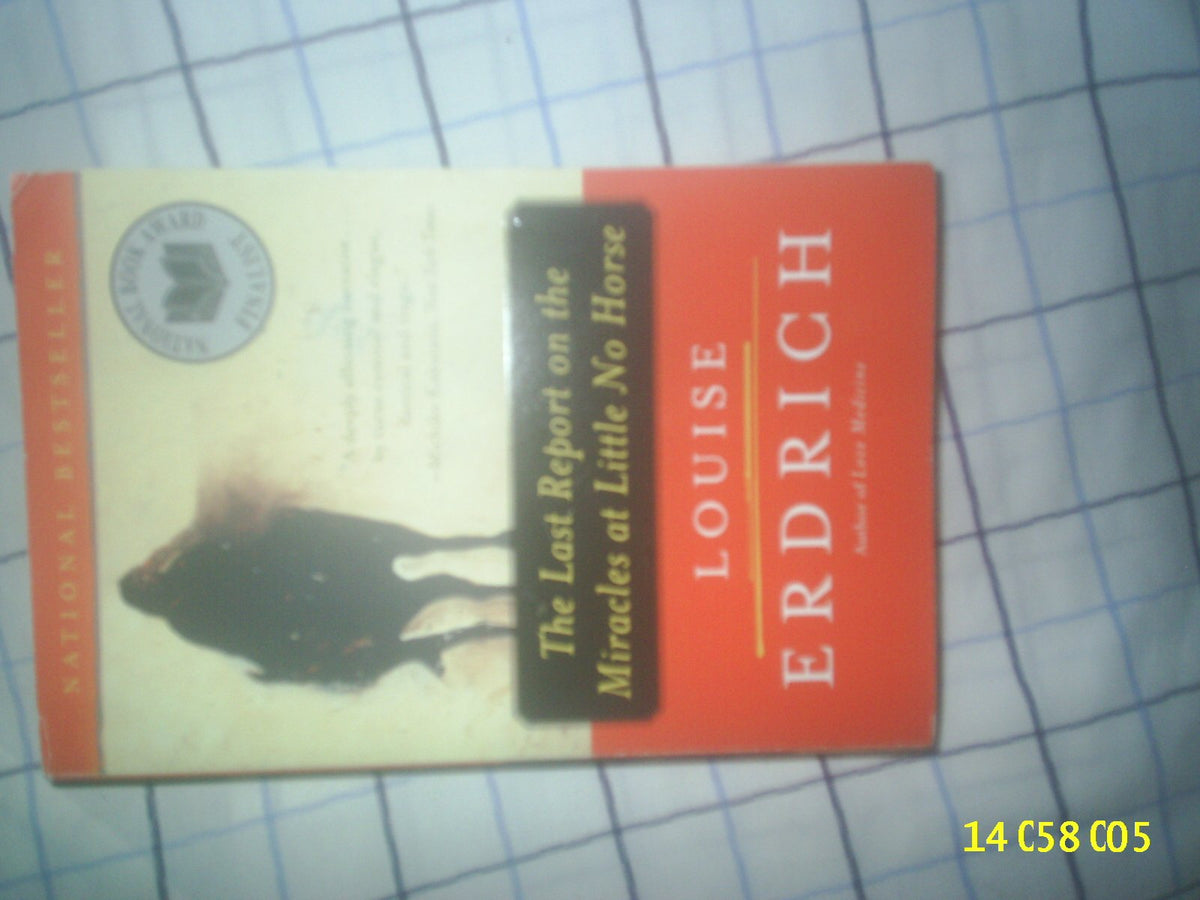 The Last Report on the Miracles at Little No Horse: A Novel