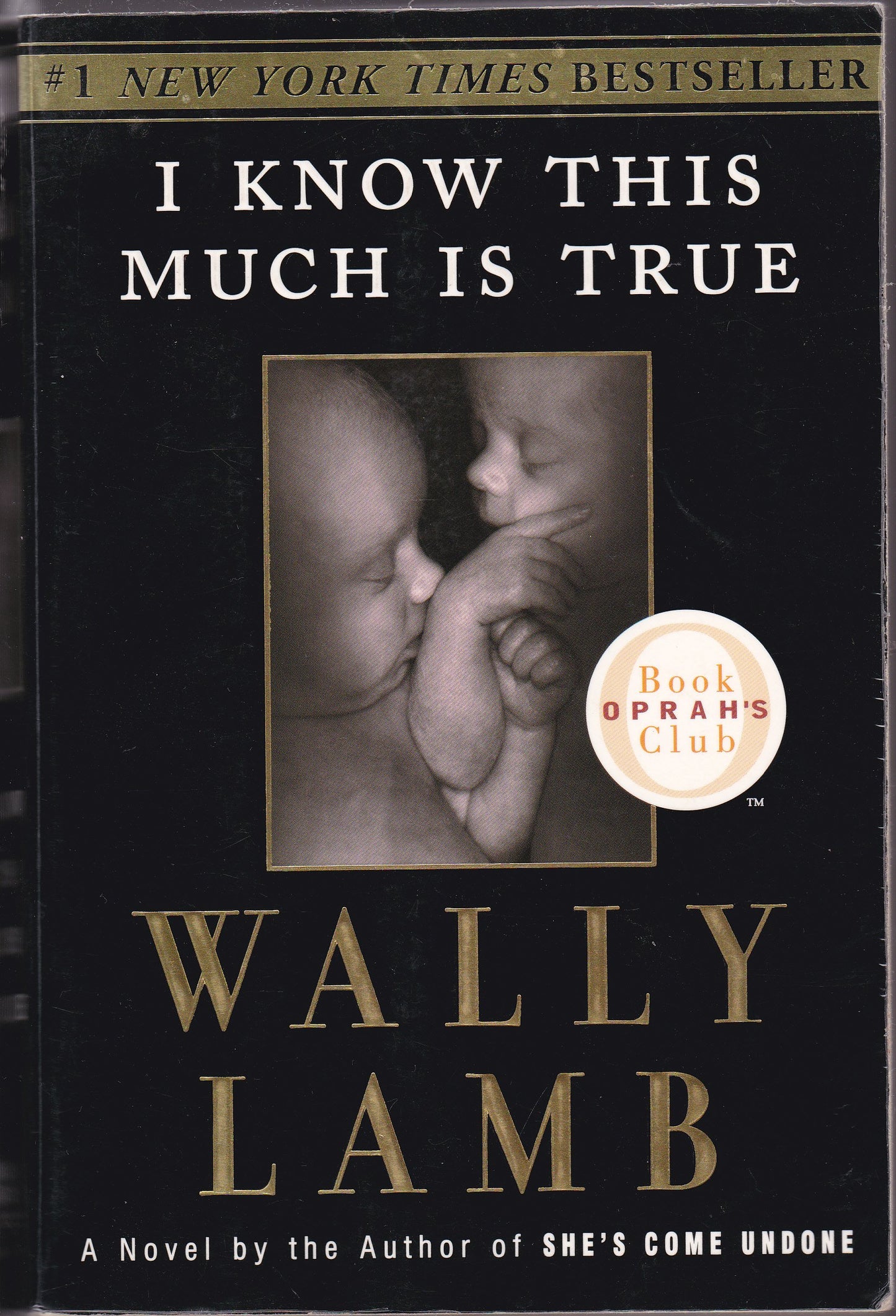 I Know This Much Is True (Oprah's Book Club)