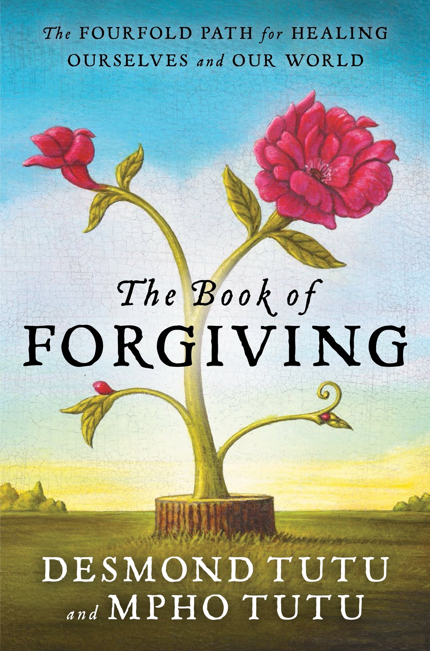 The Book of Forgiving: The Fourfold Path for Healing Ourselves and Our World - 6205